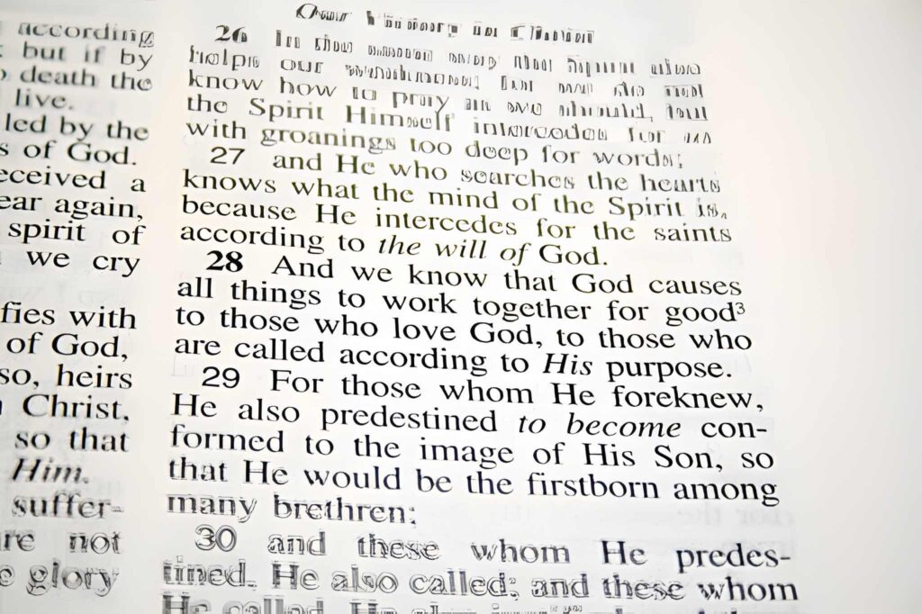 Bible opened to Romans 8:28-30