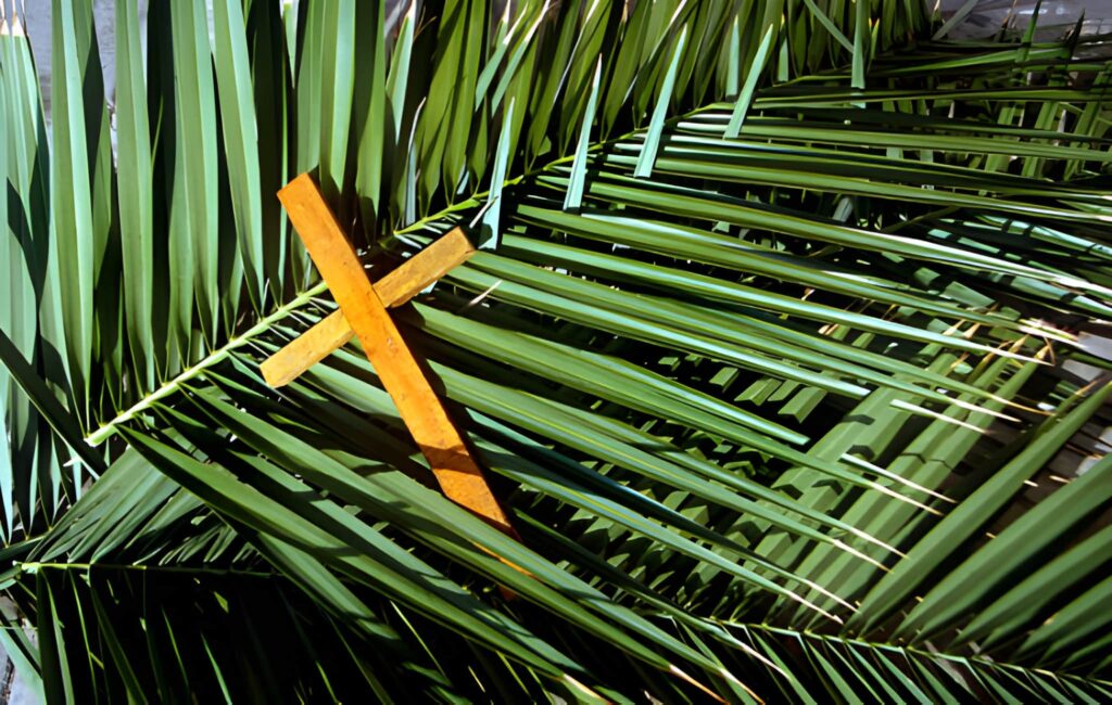 Palm in the shape of a cross - Image: iStockphoto