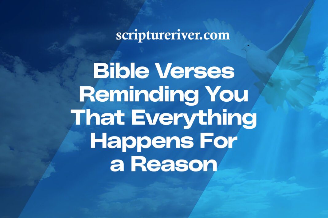 23 Bible Verses Reminding You That Everything Happens for a Reason ...